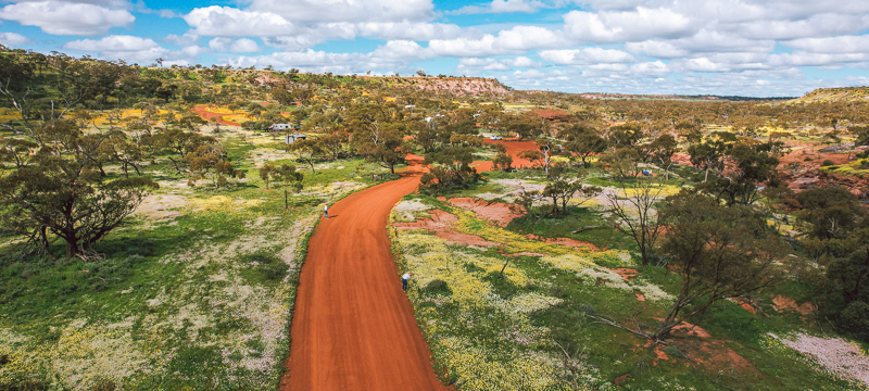 The stunning wildflower displays in Coalseam Conservation Park